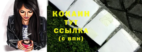 ПСИЛОЦИБИНОВЫЕ ГРИБЫ Кукмор