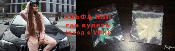 ПСИЛОЦИБИНОВЫЕ ГРИБЫ Кукмор
