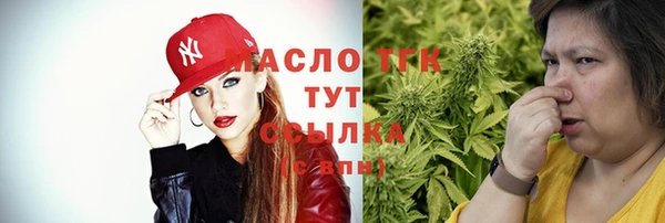 тгк Кулебаки
