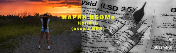 ПСИЛОЦИБИНОВЫЕ ГРИБЫ Кукмор